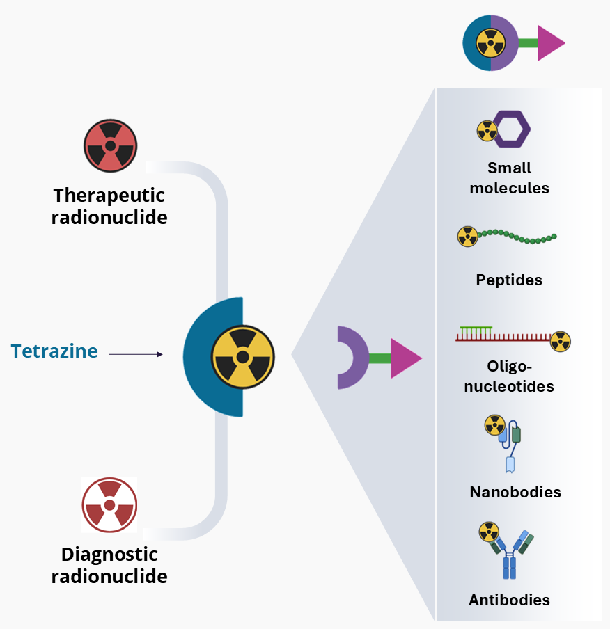 The TetraKit Platform: Rapid and high-yielding radiolabeling of any cancer-targeting biomolecule for accelerated radiopharmaceutical development